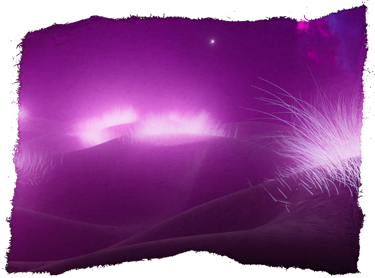 Dreamscape