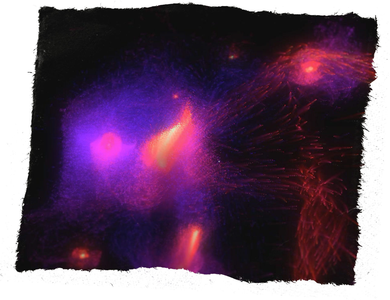 Particle